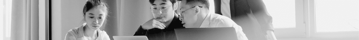 yeni cozum ortagınız